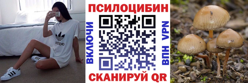 Псилоцибиновые грибы Cubensis  Тарко-Сале 